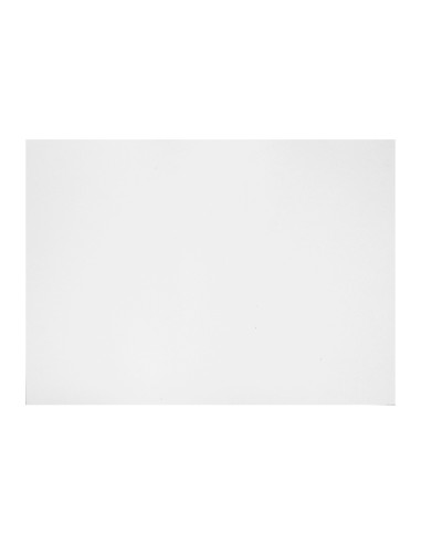 Carton gris nº 16 75x105 cm hoja