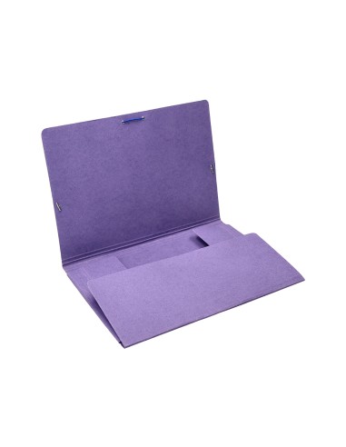 Carpeta liderpapel gomas folio 3 solapas carton...