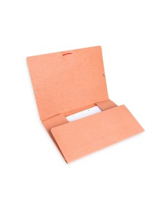 Carpeta liderpapel gomas... 2