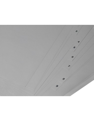 Separador numerico q-connect plastico 1-12...