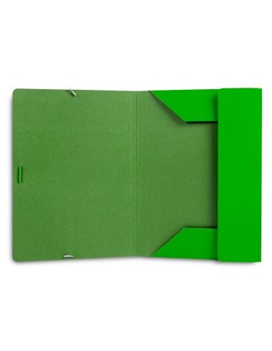 Carpeta liderpapel gomas folio 3 solapas carton...