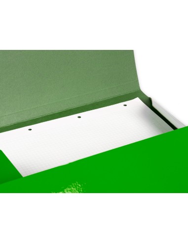 Carpeta liderpapel gomas folio 3 solapas carton...