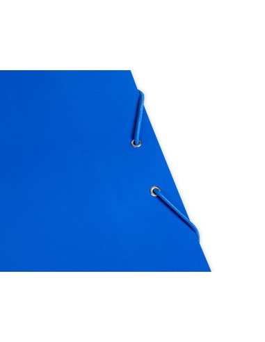 Carpeta liderpapel gomas folio 3 solapas carton...