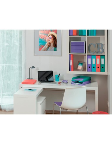 Archivador de palanca esselte colour breeze...