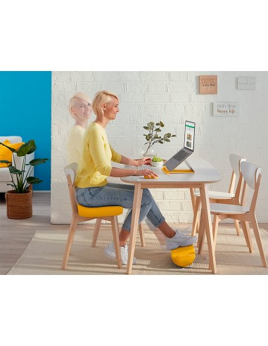 Reposapies de escritorio leitz active ergo cosy...