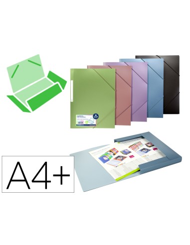 Carpeta carchivo gomas polipropileno tres...