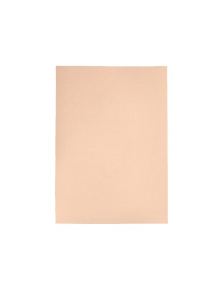 Cartulina liderpapel a4 180g/m2 crema paquete de 25+5 hojas en carpeta dossier transparente con cierre velcro