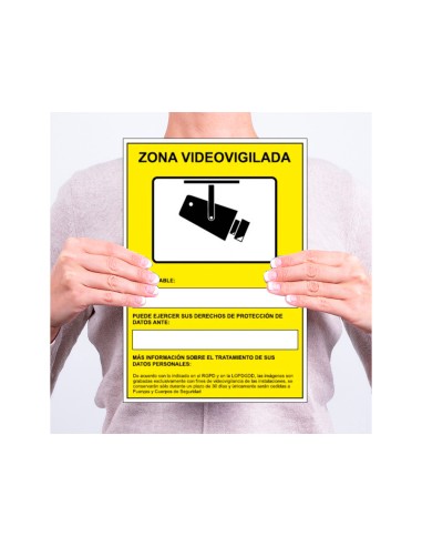 Pictograma archivo 2000 camaras de vigilancia...