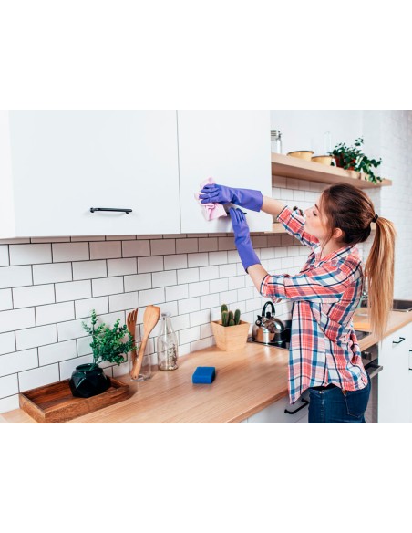 Limpiador desinfectante sanytol para cocinas con pistola pulverizadora bote de 750 ml