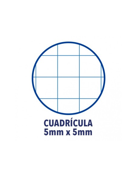 Recambio color 1 oxford din a4+ 80 hojas 90 gr cuadro 5 mm 4 taladros color melocoton