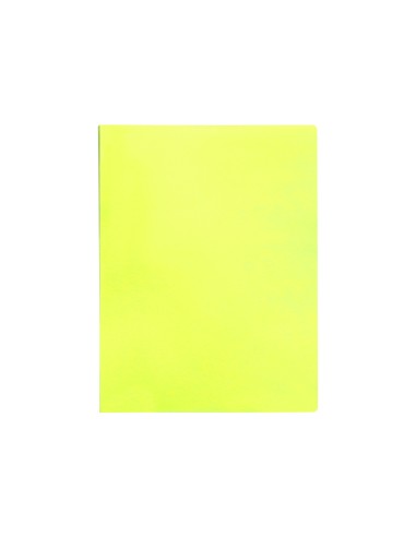 Carpeta liderpapel escaparate 60 fundas...