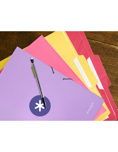 Carpeta antartik gomas a4 3 solapas carton...