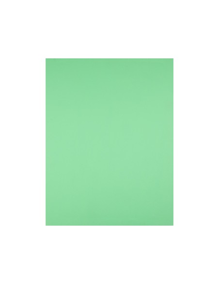 Cartulina liderpapel 50x65 cm 180g/m2 verde hierba paquete de 25 hojas