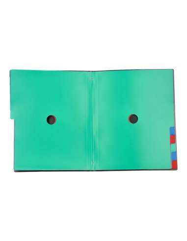 Carpeta liderpapel clasificadora polipropileno...