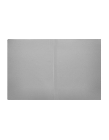 Subcarpeta liderpapel a4 gris 180g/m2
