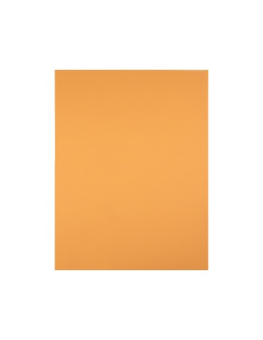 Cartulina liderpapel 50x65 cm 180 gr avellana...