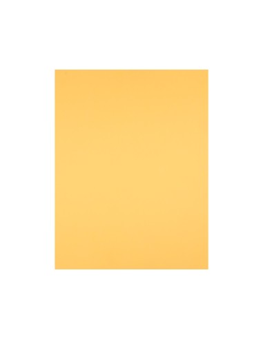 Cartulina liderpapel 50x65 cm 180 gr oro unidad
