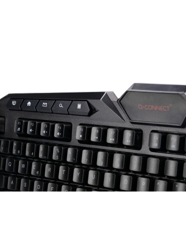 Set teclado y raton q-connect con cable e...