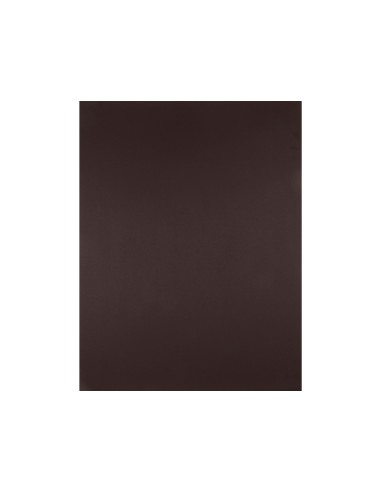 Cartulina liderpapel 50x65 cm 240g/m2 marron...