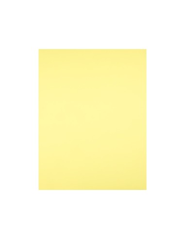 Cartulina liderpapel 50x65 cm 240g/m2 amarillo...